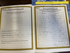 3. Student work book entry
